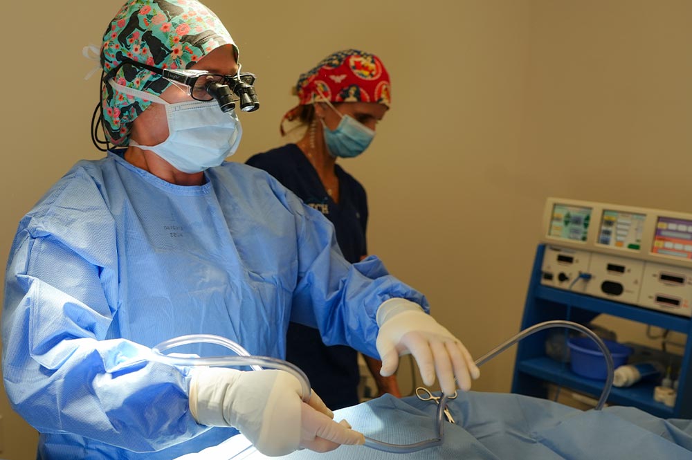 veterinarian wearing scrubs performing surgery