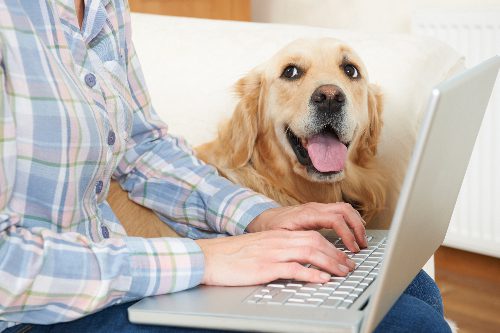 pet-owner-typing-on-laptop-with-dog-nearby