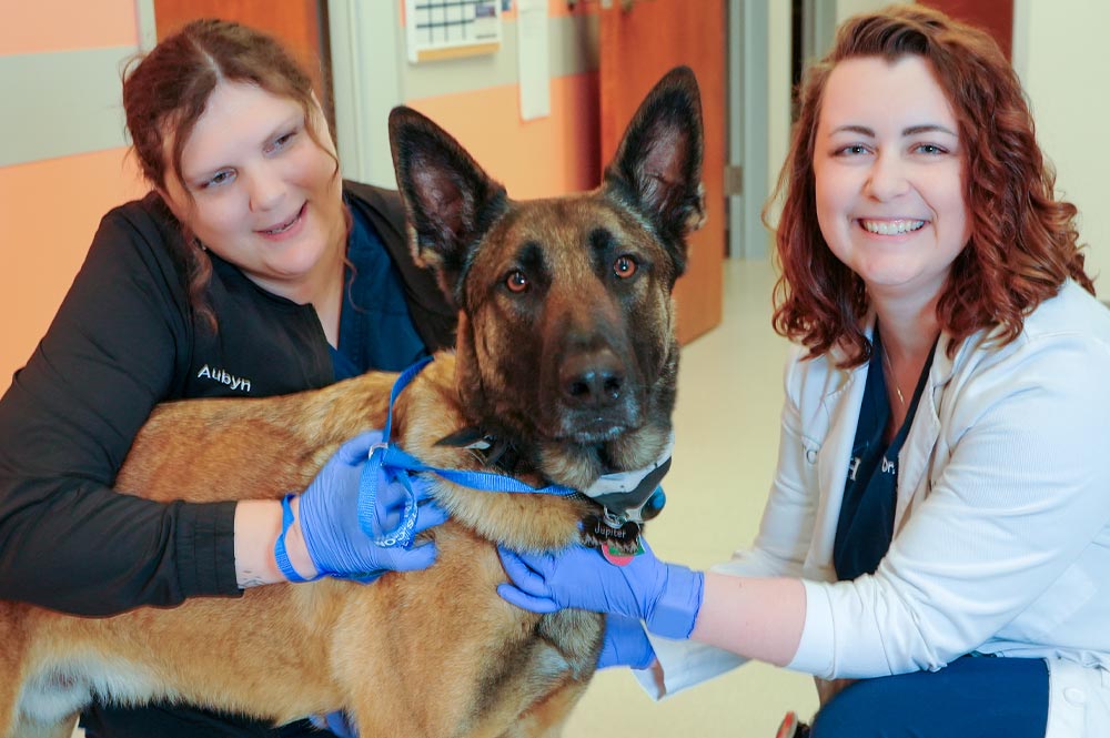 female doctor and female technician smiling and posing with german shepherd indoors