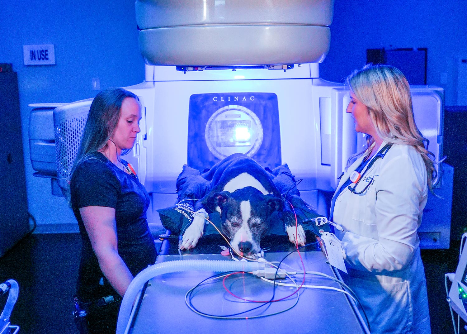 female veterinarian and female assistant monitoring sedated dog during radiation oncology treatment