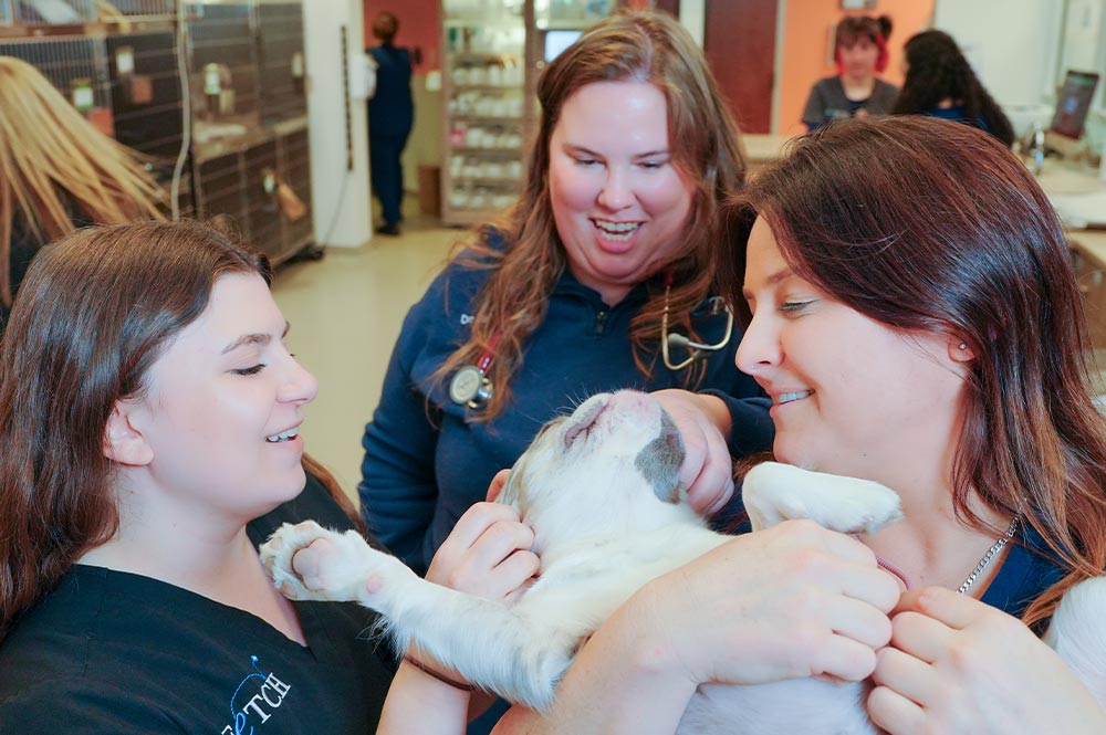 three female staff members holding and showering french bulldog with love and affection
