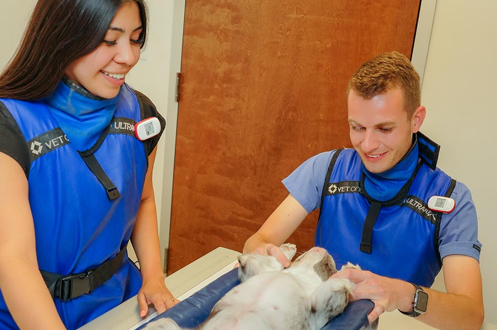 female and male technician wearing lead gear smiling while gently holding dog in place for x-ray