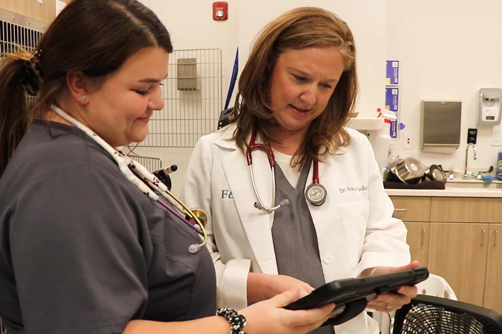 Veterinarian And Technician Looking At Tablet