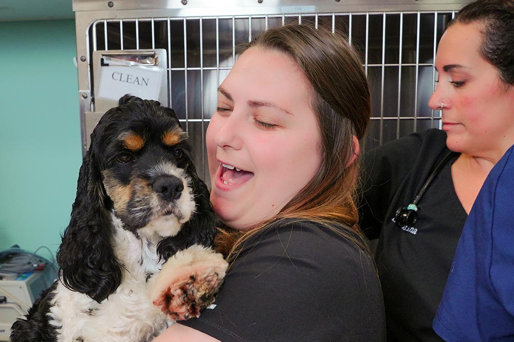 female staff member smiling and holding small tricolored dog with other staff members in the background