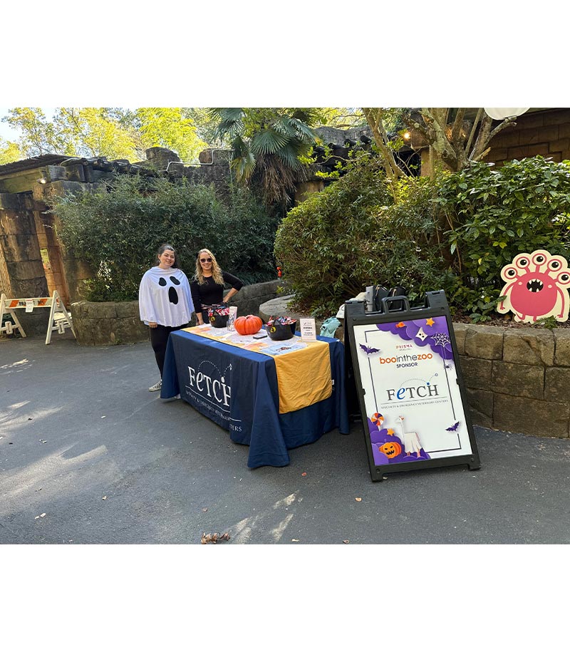 female staff members posing behind fetch vets display booth at boo in the zoo