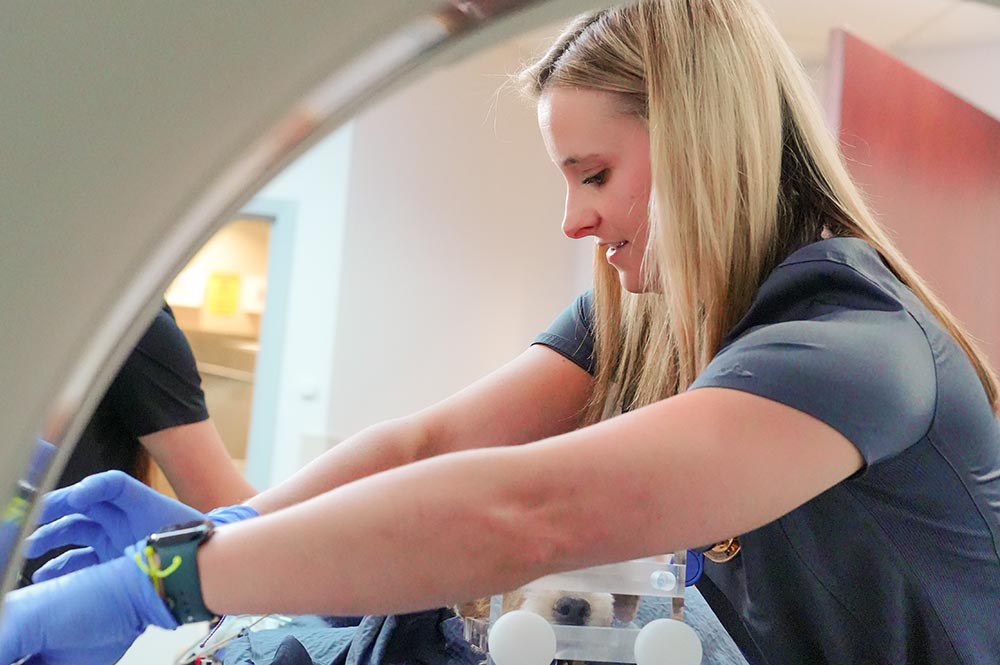female staff member smiling while prepping sedated dog for CT scan