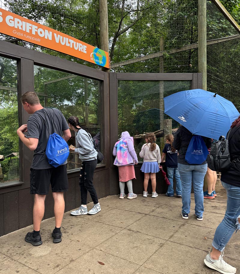 staff members and children viewing eurasia griffon vultures at Greenfield Zoo