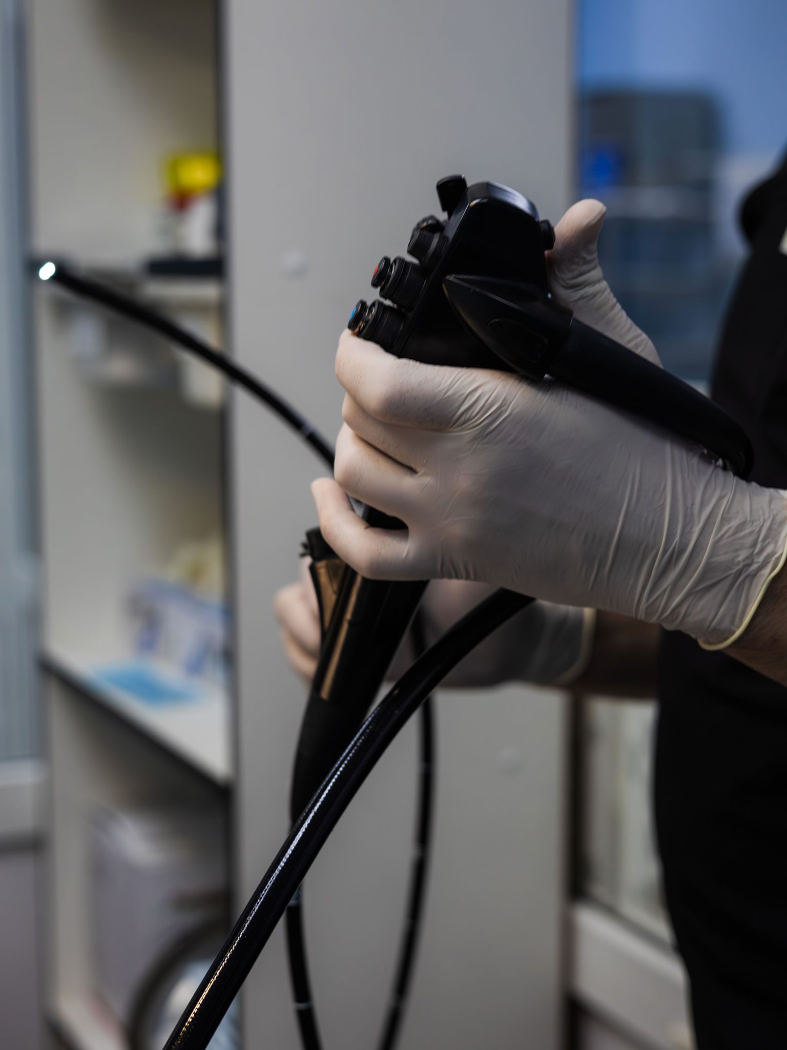 veterinarian with gloved hands holding endoscope before endoscopy procedure