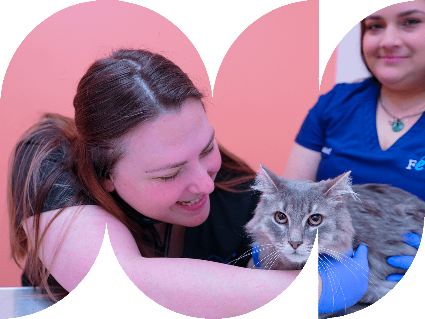 two female staff members smiling with grey striped cat