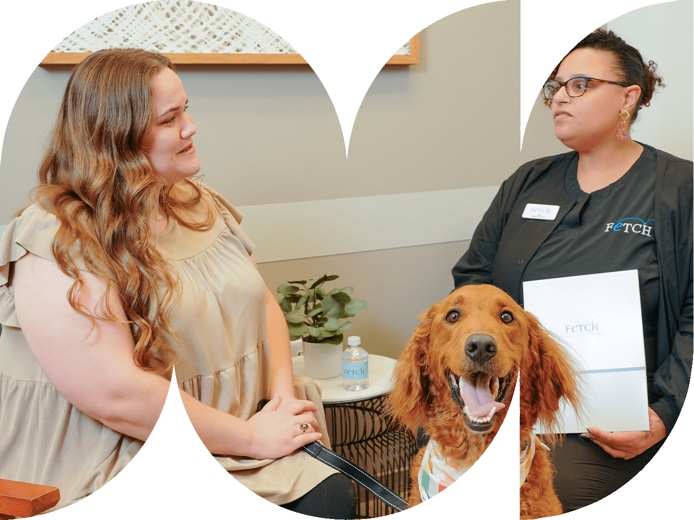 Staff Member And Client With Dog Talking staff member and client with golden retriever sitting down in waiting area and discussing care for dog
