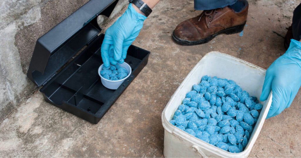 pest control expert placing rodenticide