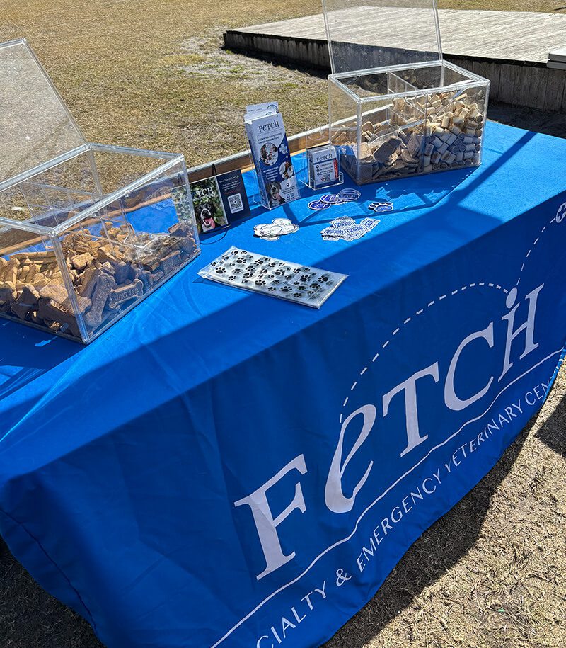 Bark In The Park Tampa 4