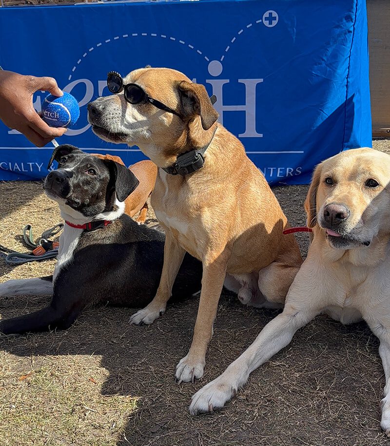 Bark In The Park Tampa 5