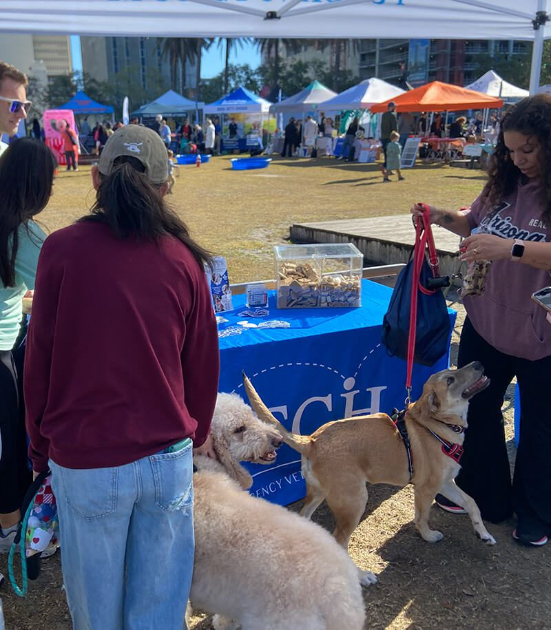 Bark In The Park Tampa 8