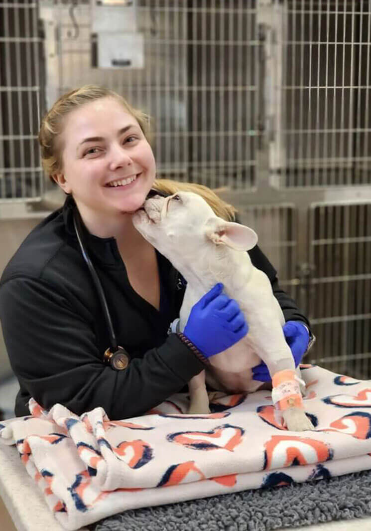 Bulldog Kisses