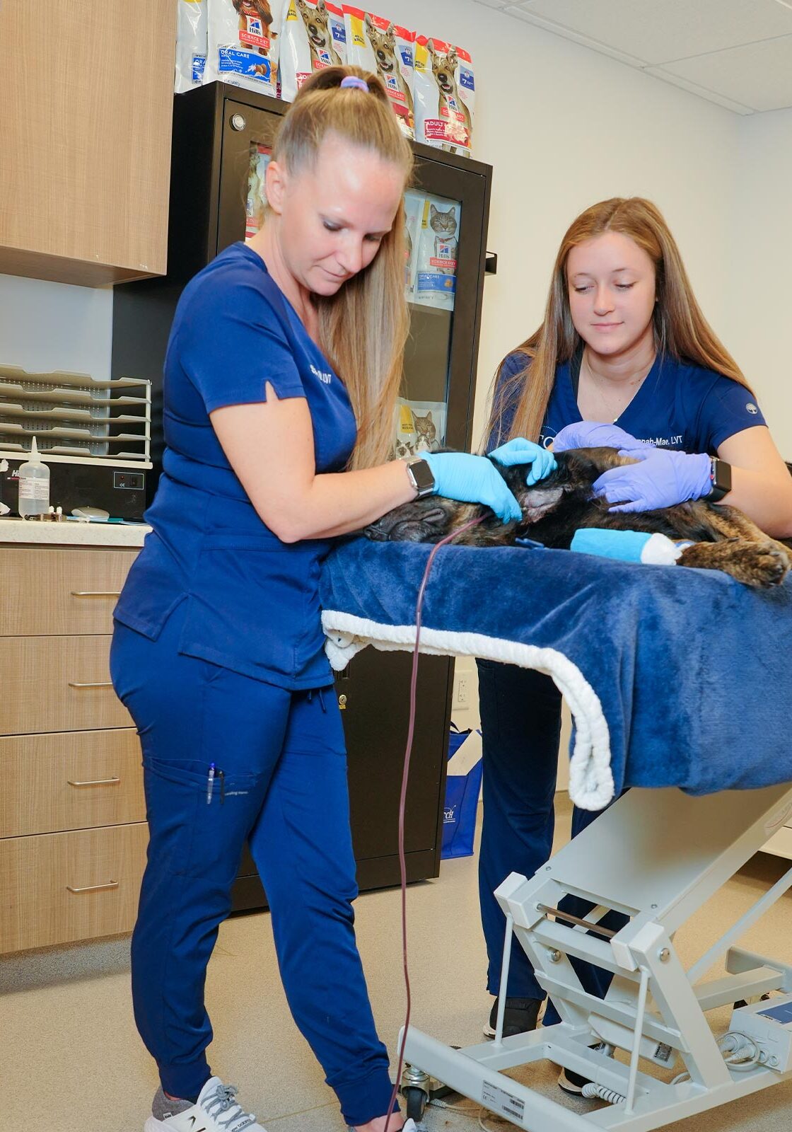 two female staff members with dog during blood donation
