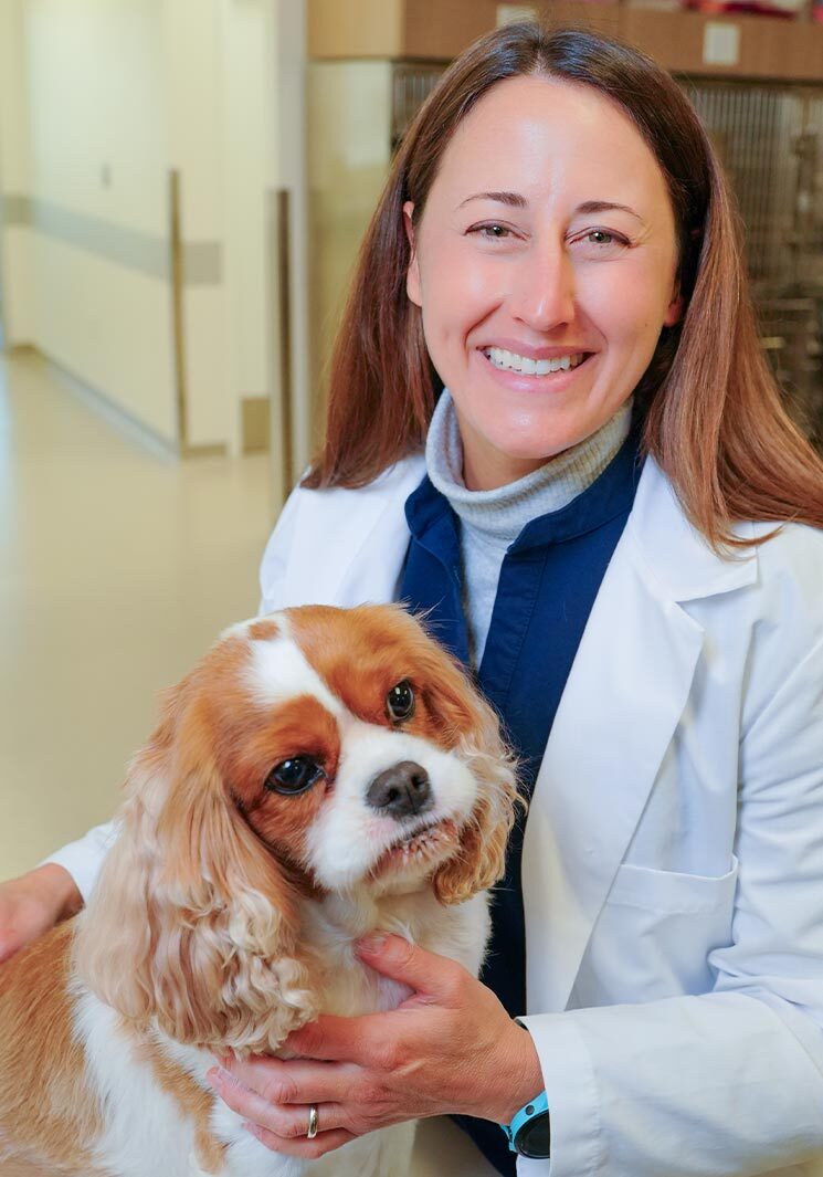 female veterinarian smiling and posing while holding cocker spaniel dog